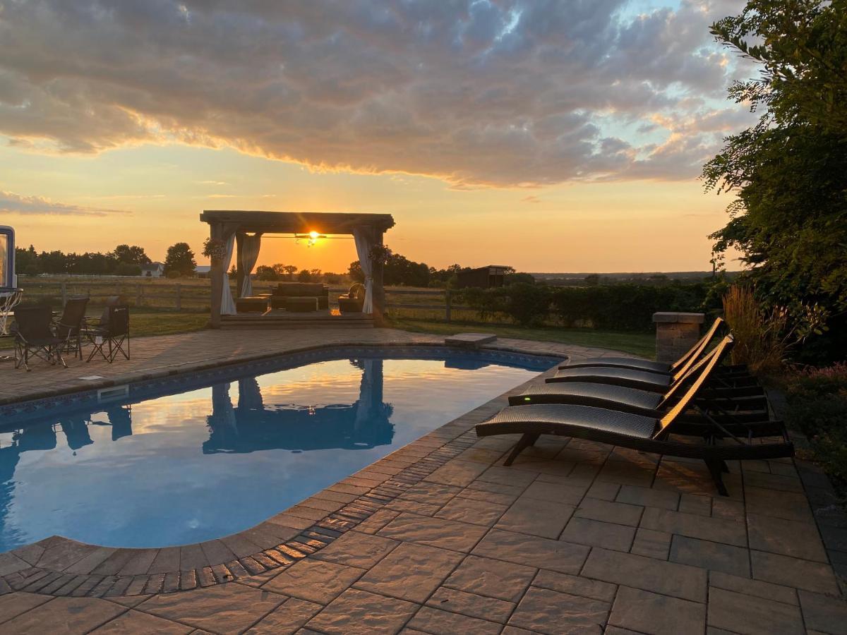 Farmhouse Guest Suite, Pool, Hot Tub, Horses Midhurst Exteriér fotografie